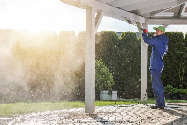 Best Sidewalk and Walkway Pressure Cleaning in Pender, NE